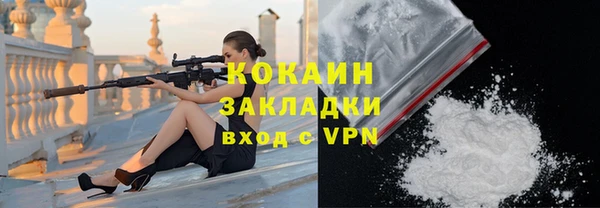 дмт Костерёво