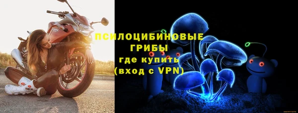 дмт Костерёво