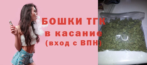 дмт Костерёво