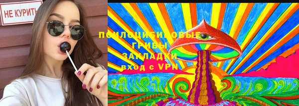 круглые Корсаков
