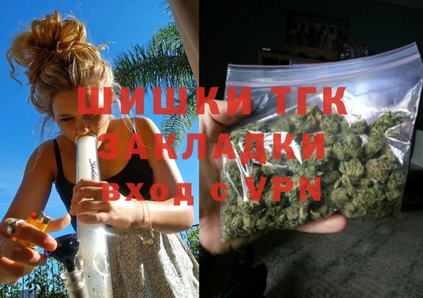 дмт Костерёво