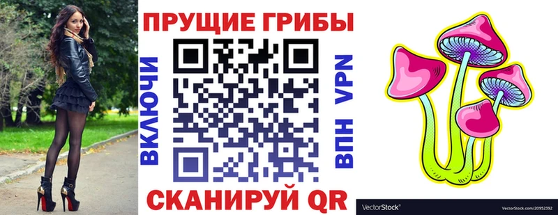 Купить закладки  Купино  Галлюциногенные грибы GOLDEN TEACHER 